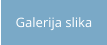 Galerija slika